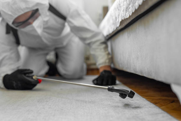 Professional Termite Control technician working in Habersham County County, GA